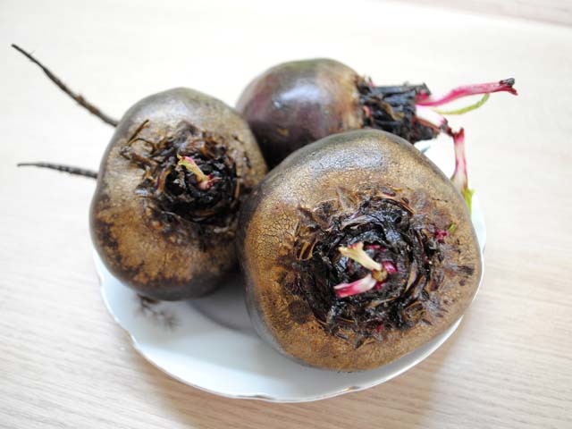 Борщ класичний — 8 рецептів приготування холодного і гарячого супу