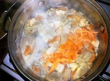 Суп з плавленим сиром. Рецепт сирного супу-пюре з грибами