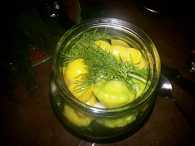 Мариновані патисони – смачний рецепт заготівлі патисонів на зиму