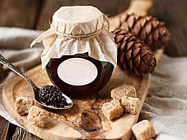 Варення із соснових шишок — корисні властивості і 9 способів його приготувати