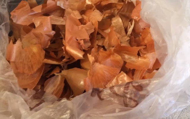 Сало, варене в лушпинні цибулі — 6 найсмачніших рецептів посолу