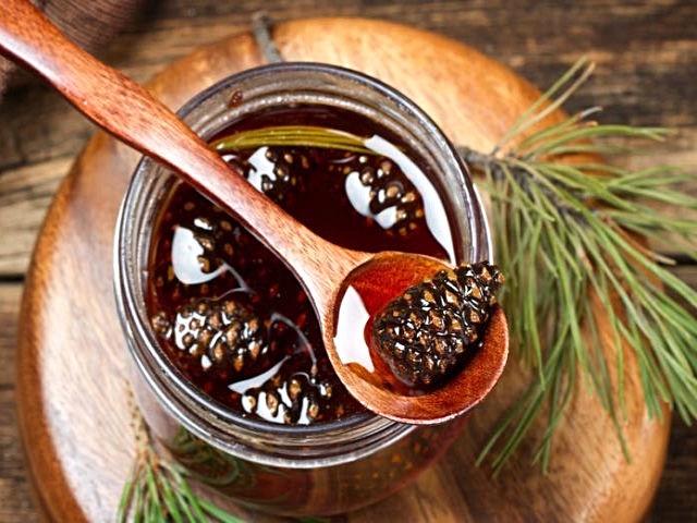 Варення із соснових шишок — корисні властивості і 9 способів його приготувати