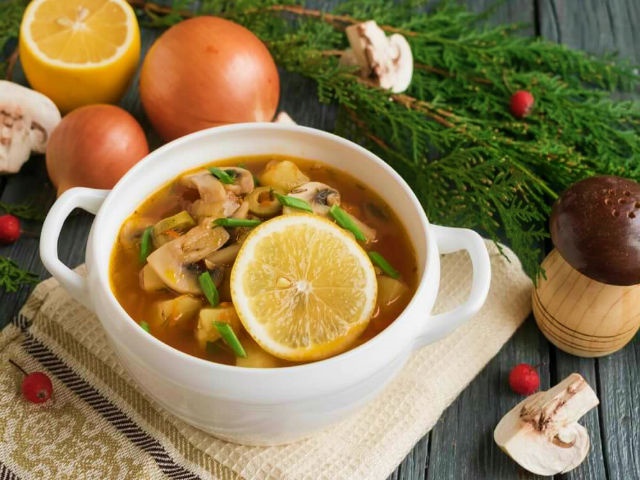 Грибна солянка — найсмачніші рецепти приготування