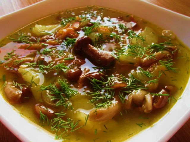 Грибна солянка — найсмачніші рецепти приготування