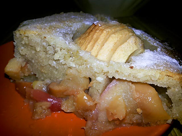 Шарлотка з яблуками в духовці, 5 простих рецептів з фото покроково