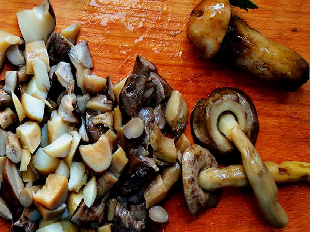 Грибна солянка — найсмачніші рецепти приготування