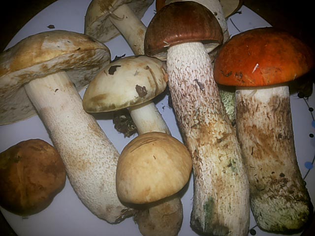 Салат “Соняшник” з чіпсами. Класичний покроковий рецепт з фото