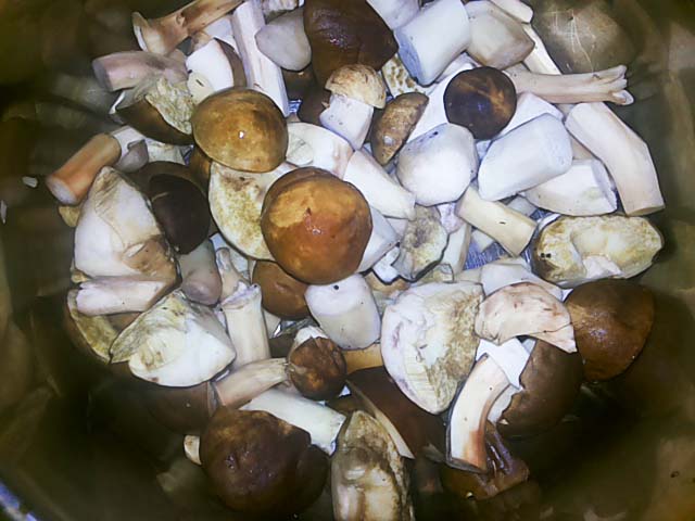 Грибна ікра на зиму – рецепти з фото і відео