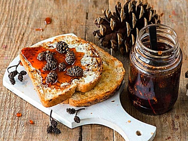 Варення із соснових шишок — корисні властивості і 9 способів його приготувати