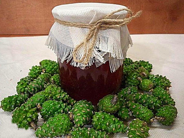 Варення із соснових шишок — корисні властивості і 9 способів його приготувати