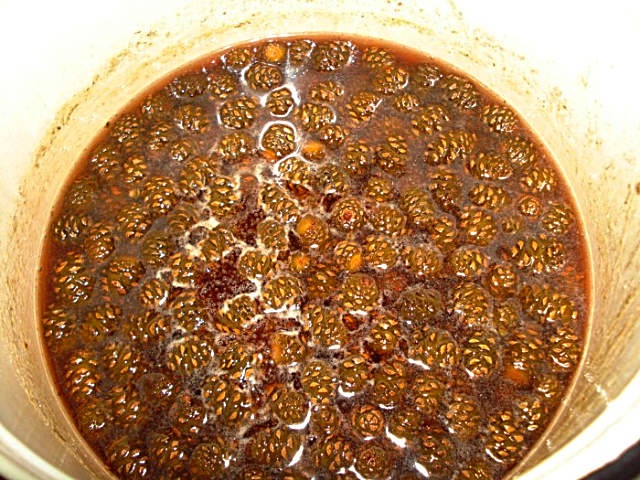 Варення із соснових шишок — корисні властивості і 9 способів його приготувати