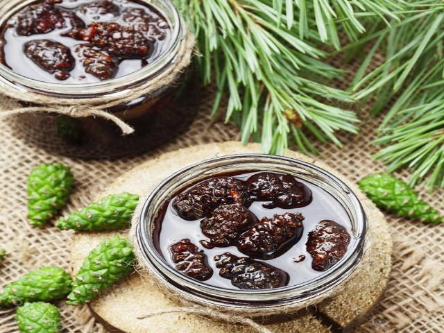 Варення із соснових шишок — корисні властивості і 9 способів його приготувати