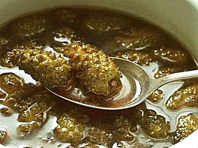 Варення із соснових шишок — корисні властивості і 9 способів його приготувати