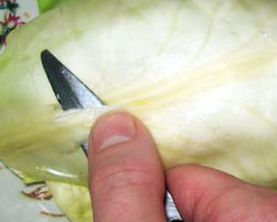 Голубці з м’ясом та рисом – простий і смачний покроковий рецепт