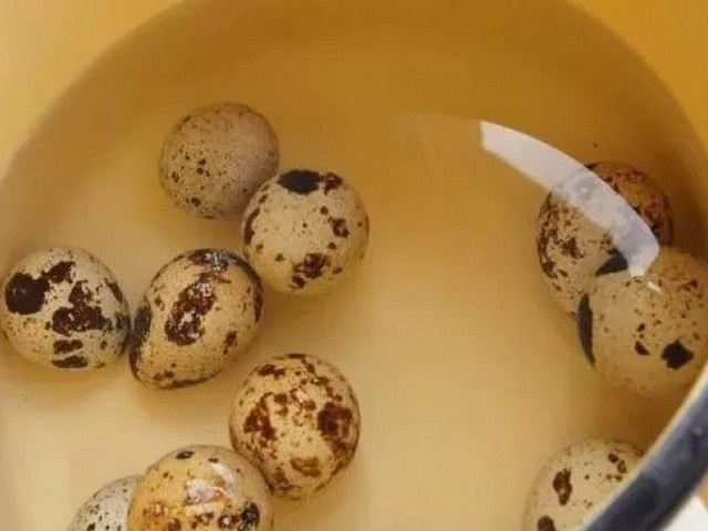 Холодець з курки: 7 покрокових рецептів приготування смачного холодцю