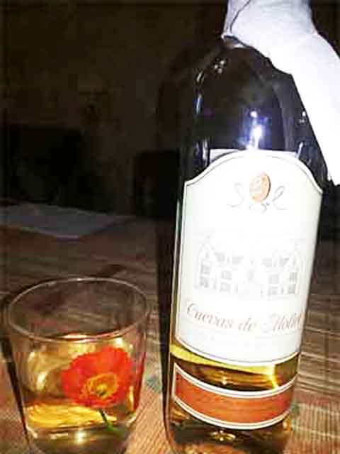 Лазанья з кабачків з фаршем, покроковий рецепт з фото