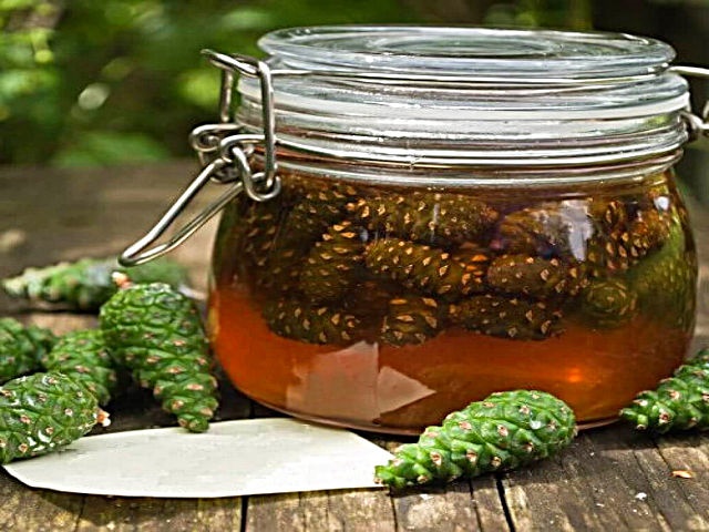 Варення із соснових шишок — корисні властивості і 9 способів його приготувати