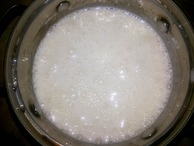 Шарлотка з яблуками в духовці, 5 простих рецептів з фото покроково