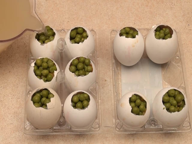 Заливне з курки з желатином – 9 рецептів з фото покроково