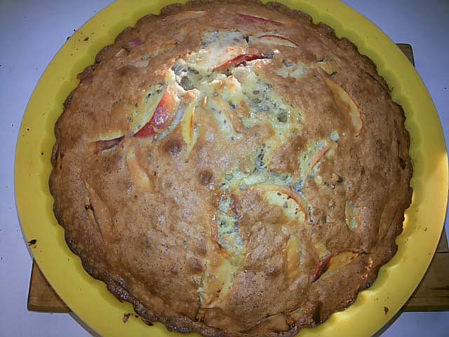 Шарлотка з яблуками в духовці, 5 простих рецептів з фото покроково