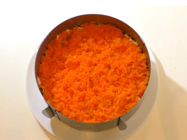 Салат Оселедець під шубою — 11 класичних рецептів з описом послідовності шарів