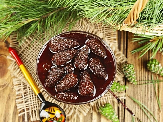 Варення із соснових шишок — корисні властивості і 9 способів його приготувати