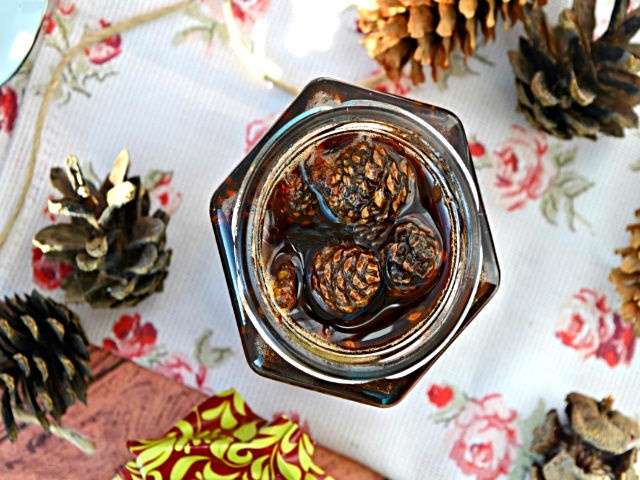 Варення із соснових шишок — корисні властивості і 9 способів його приготувати