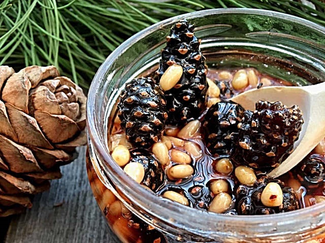 Варення із соснових шишок — корисні властивості і 9 способів його приготувати