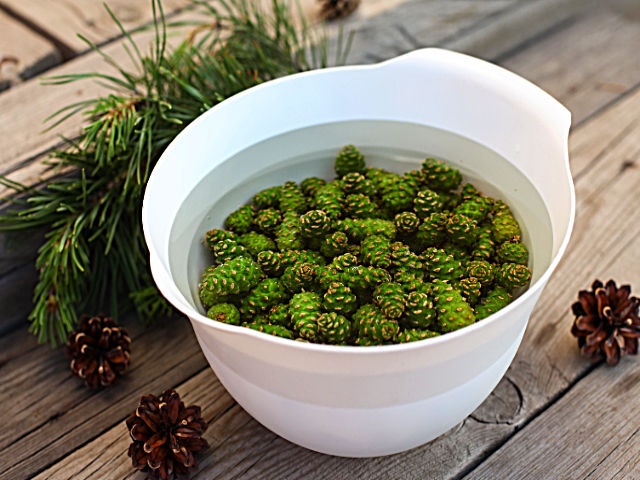 Варення із соснових шишок — корисні властивості і 9 способів його приготувати