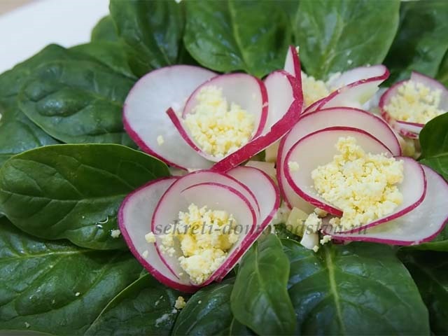 Салат Фіалки — рецепт приготування в домашніх умовах