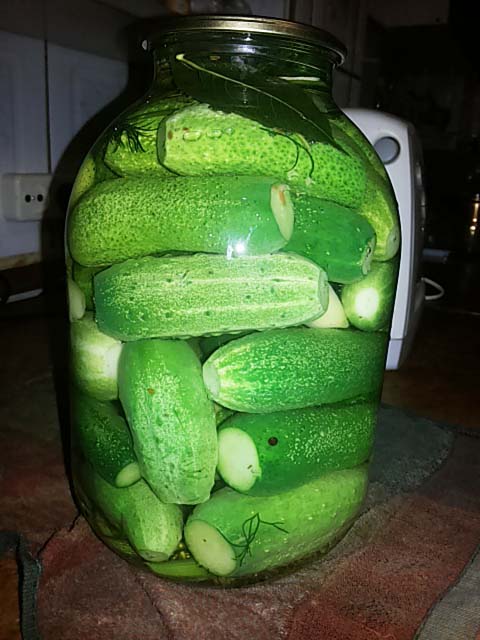 Огірки в томатній заливці на зиму рецепт з фото