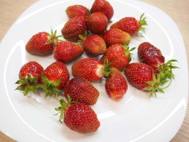 Торт Фрезє — рецепт приготування торта з полуницею в домашніх умовах