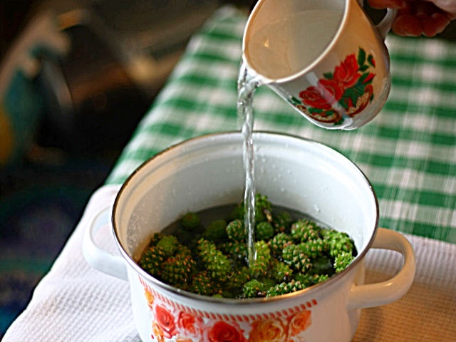 Варення із соснових шишок — корисні властивості і 9 способів його приготувати