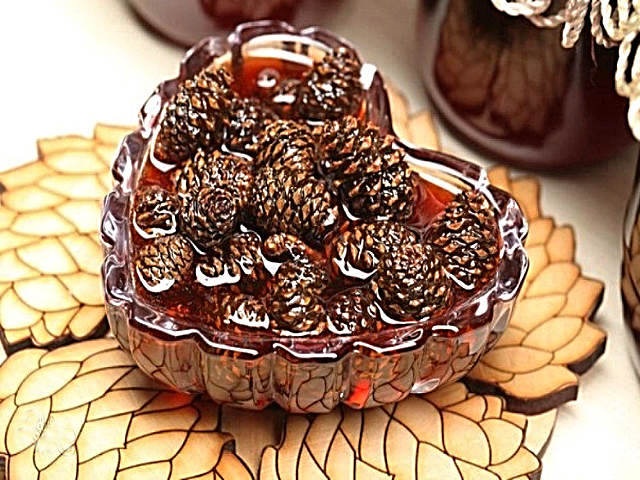 Варення із соснових шишок — корисні властивості і 9 способів його приготувати