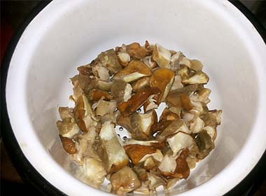 Суп з плавленим сиром. Рецепт сирного супу-пюре з грибами