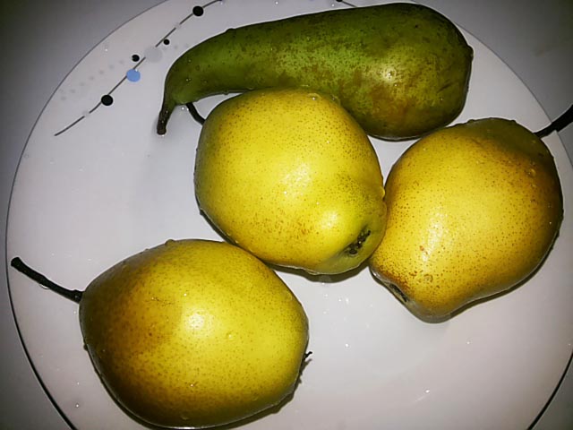 Грушевий пиріг – 4 простих і смачних домашніх рецепта