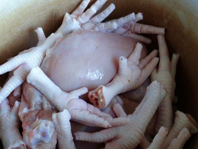 Холодець з курки: 7 покрокових рецептів приготування смачного холодцю