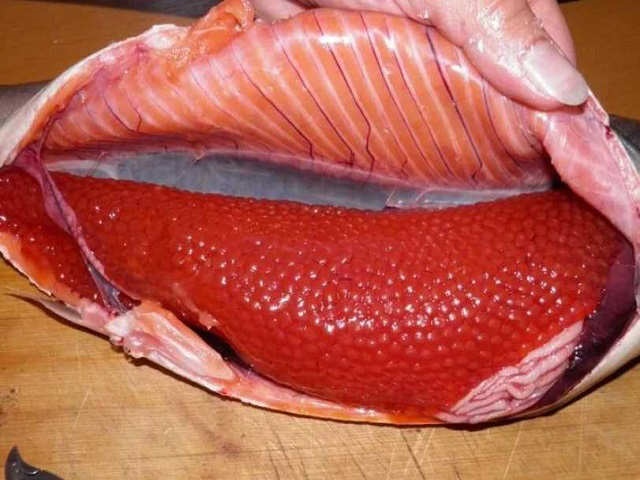 Як смачно посолити ікру горбуші в домашніх умовах — 6 швидких рецептів