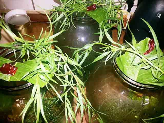 Хрусткі консервовані огірки. Рецепт найсмачніших огірків на зиму