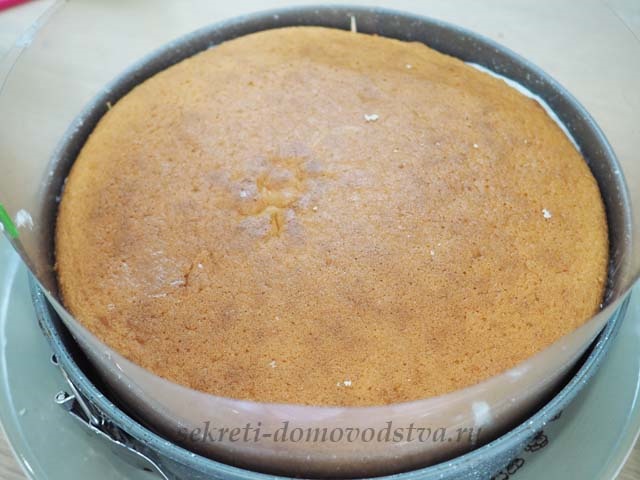 Торт Фрезє — рецепт приготування торта з полуницею в домашніх умовах