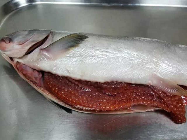 Як смачно посолити ікру горбуші в домашніх умовах — 6 швидких рецептів