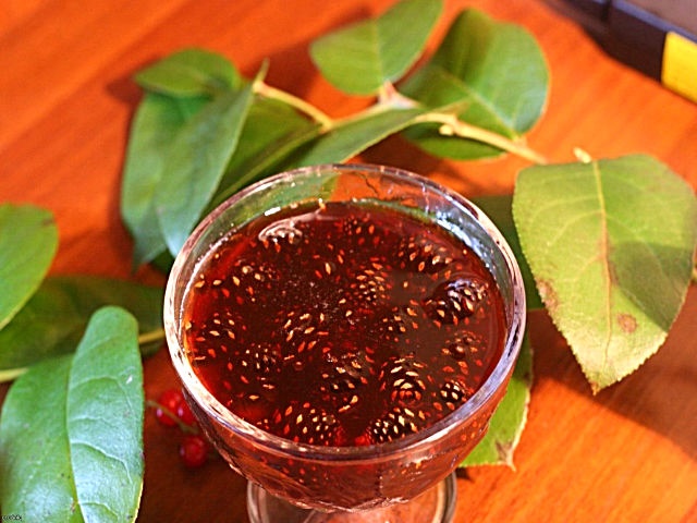 Варення із соснових шишок — корисні властивості і 9 способів його приготувати