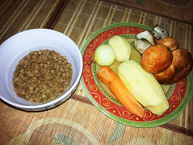 Грибний суп з свіжих грибів. Як зварити грибовницу з свіжих грибів – рецепт з фото