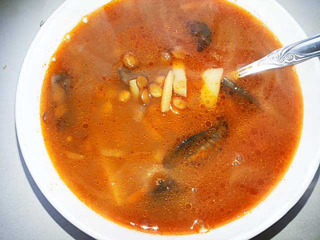 Грибний суп з свіжих грибів. Як зварити грибовницу з свіжих грибів – рецепт з фото