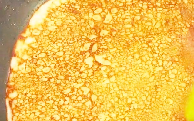 Млинці на сироватці — 8 рецептів дуже смачних млинців з дірочками