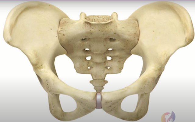 Як полегшити стан жінці при симфізиті у вагітність