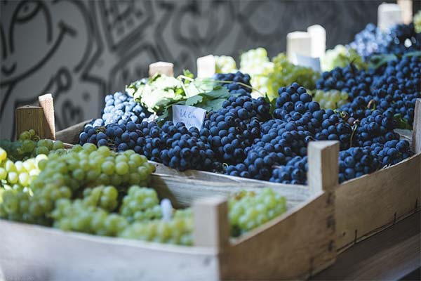 Сонник купувати виноград: на що сниться і що означає сон?