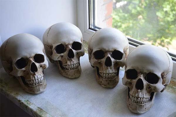 До чого сниться череп людини чи тварини — 180 тлумачень із різних сонників.