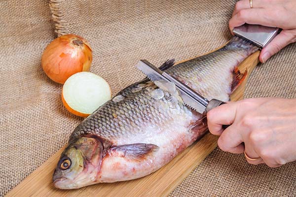 До чого сниться чистити рибу жінці чи чоловікові — 135 тлумачень із різних сонників.