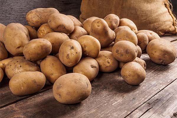 До чого сниться картопля жінці чи чоловікові — 148 тлумачень із різних сонників.